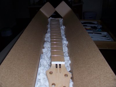 Warmoth Neck 002.JPG