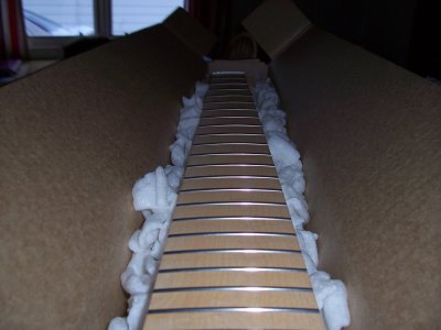 Warmoth Neck 003.JPG