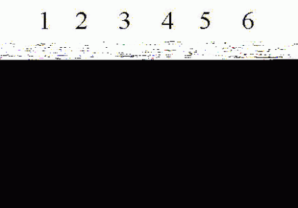 rotary-two-hums.gif