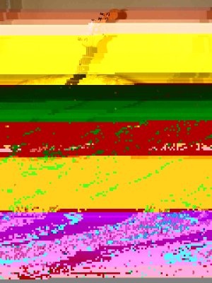 19.JPG