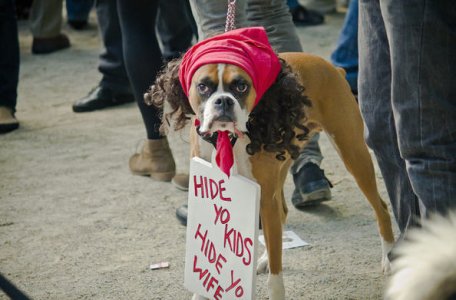 antoine-dodson-dog.jpg