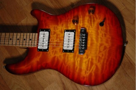 Warmoth G1.jpg