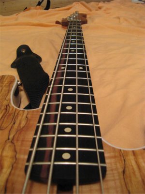 bass fretboard.jpg