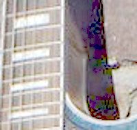 neckjoint.jpg