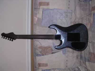 DSCN2125 new strat back.jpg