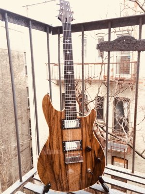 S&M Guitar #3.JPG