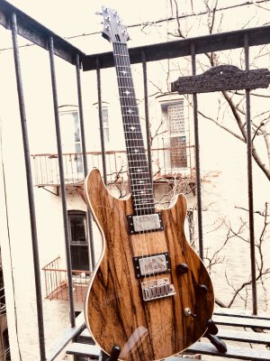 S&M Guitar #2.JPG