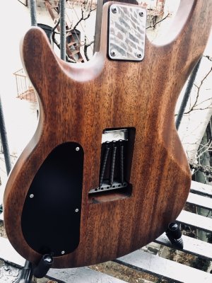 S&M Guitar #5.JPG
