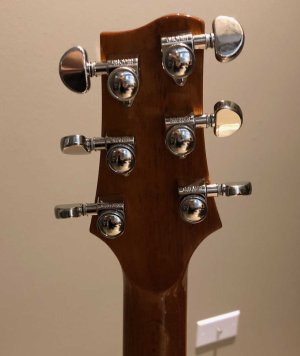 VIP Headstock Back.jpg