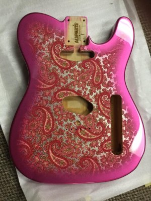 Paisley body front.JPG