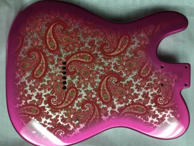 Paisley body back.JPG