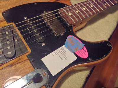 Nashville Pickguard and line up.jpg