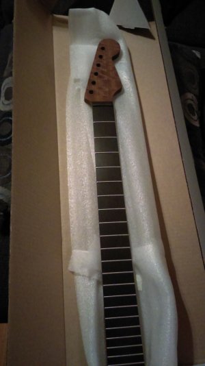 IMAG1163.jpg