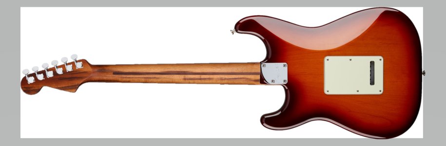 strat with Goncalo Alves (red top) with ebony VMS12934A BACK.jpg