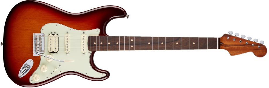 strat with Goncalo Alves with ziricote VMS12959A.jpg