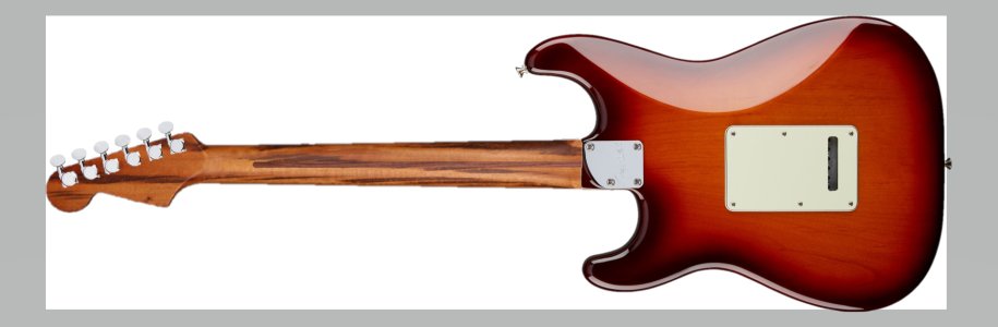 strat with Goncalo Alves with ziricote VMS12959A back.jpg