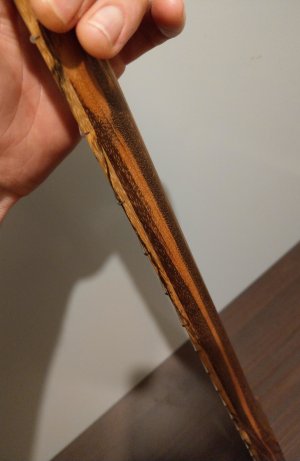 IMAG0237_cropv2.jpg