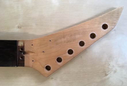 Buscarino neck headstock.jpg