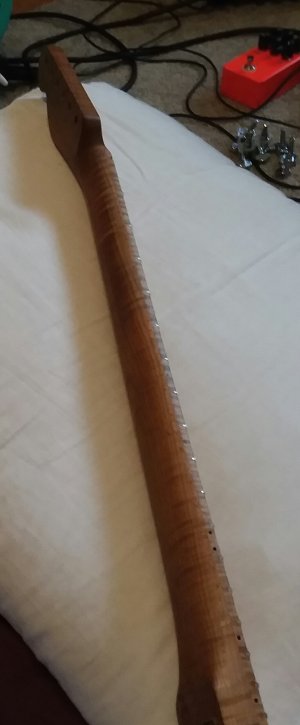 Neck Side.jpg