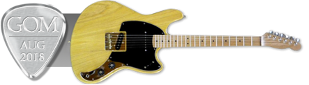 GuitarofMonth-Aug2018S-a.png