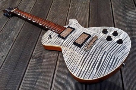 FRANKHARTUNGEmbraceCustominWhiteTigerfinish-1_zps1343e901.jpg
