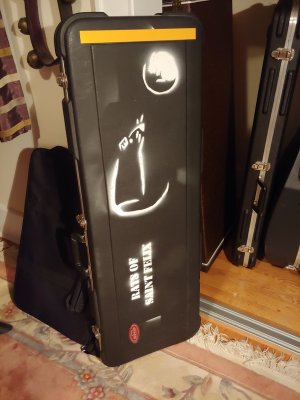 Tele case Rats of Saint Felix.jpg