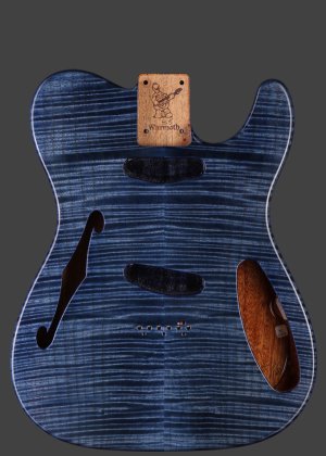 My-Warmoth-Thinline-body_PT7316C.jpg