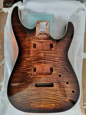 WARMOTH　オーダー　AXISタイプ　レア New Soloist Carved Top Body just arrived! | Unofficial