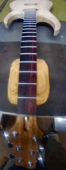 Neck Mount 1.gif