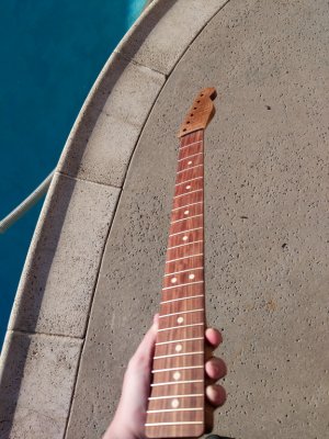 Pau Ferro Fretboard (1 of 1).jpg