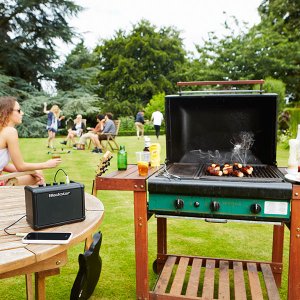 fly-use-bbq.jpg