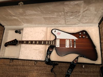 Firebird.jpg