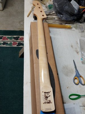 Neck 1.jpg