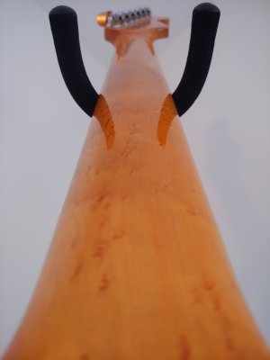stratomaster neck back.jpg