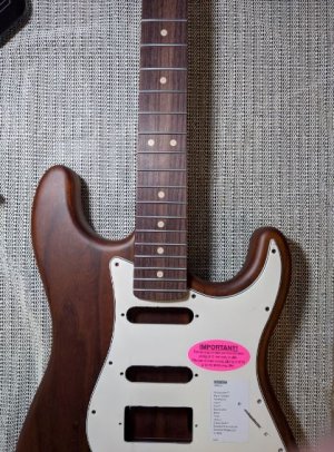 guitar1.JPG
