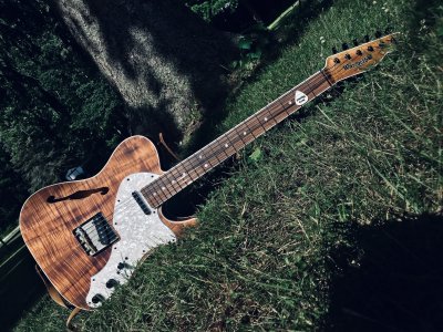 Warmoth Tele Thinline 01 copy.jpg