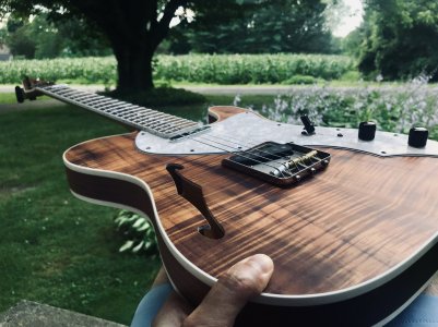 Warmoth Tele Thinline 02.jpg