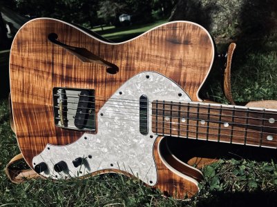 Warmoth Tele Thinline 03 copy.jpg