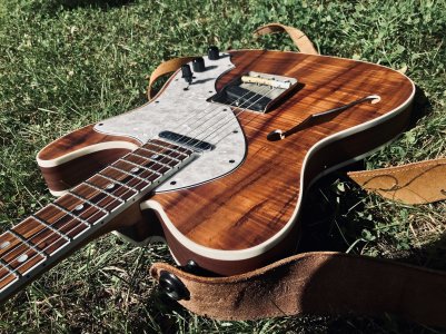 Warmoth Tele Thinline 04 copy.jpg