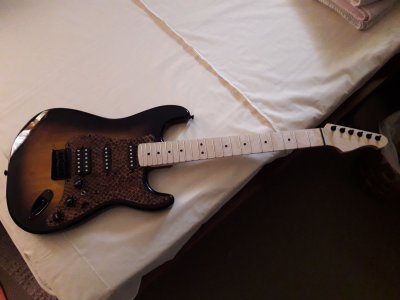 warmoth s guitar.jpg