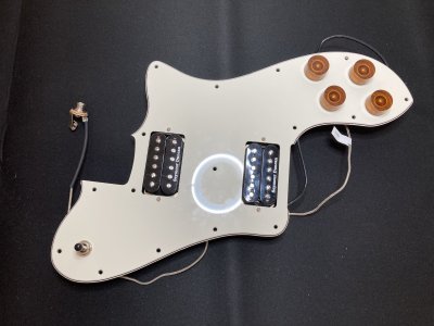 Pickguard Front.jpg