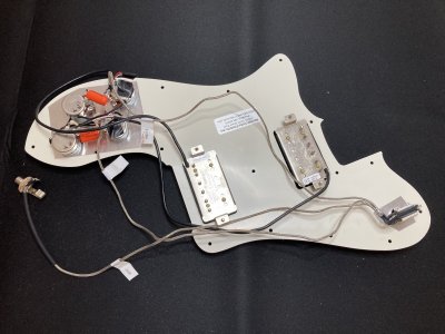 Pickguard Back.jpg
