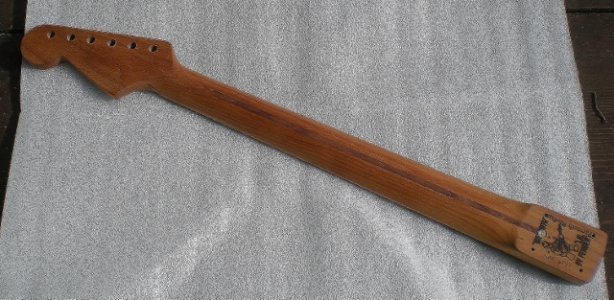 Back (640x313).jpg