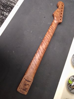Soloist neck 2.jpg