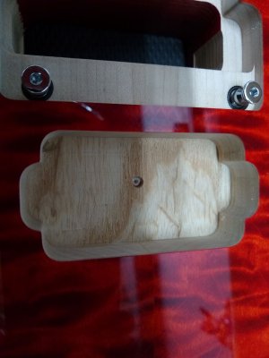 Soloist pickup.jpg