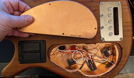 3_Bass Back.jpg