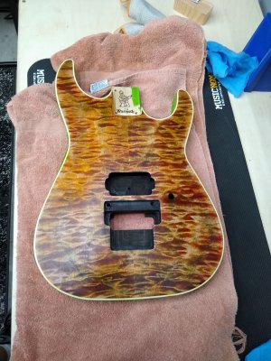 Soloist Body 3.jpg