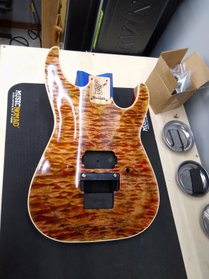Copperhead Soloist.jpg