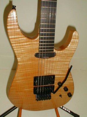 First Warmoth Build 3.jpg