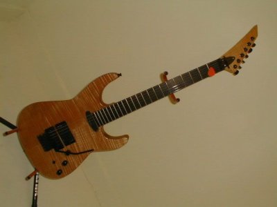 First Warmoth Build 4.jpg